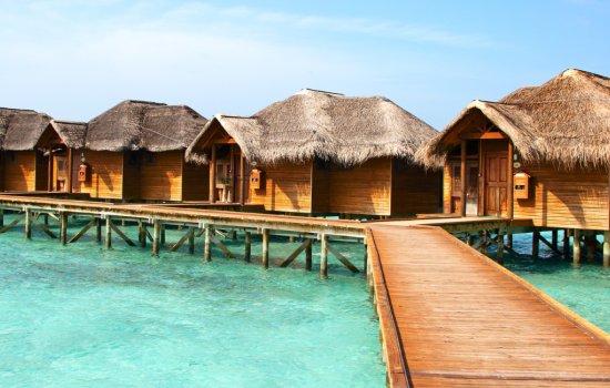 Maldives Honeymoons