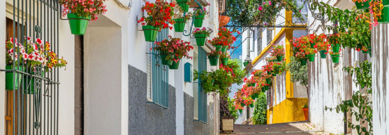 A street in Malaga