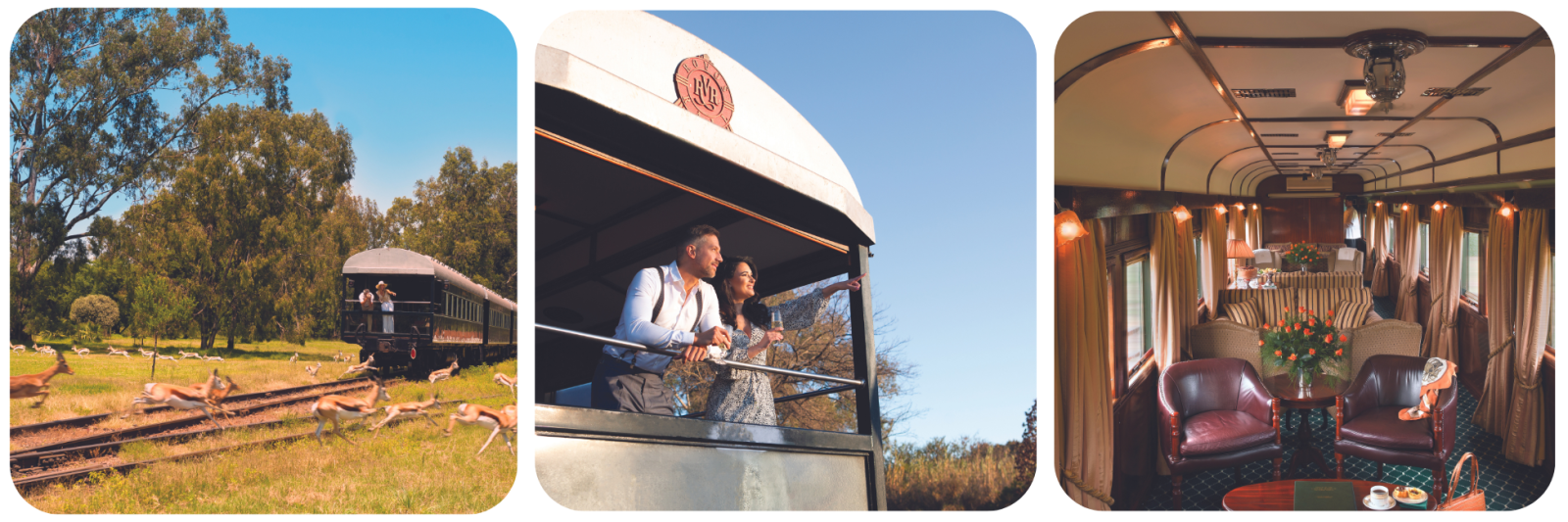 luxury train tours south africa