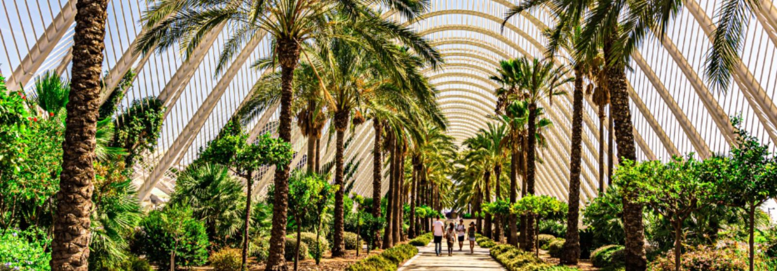 Gardens in Valencia