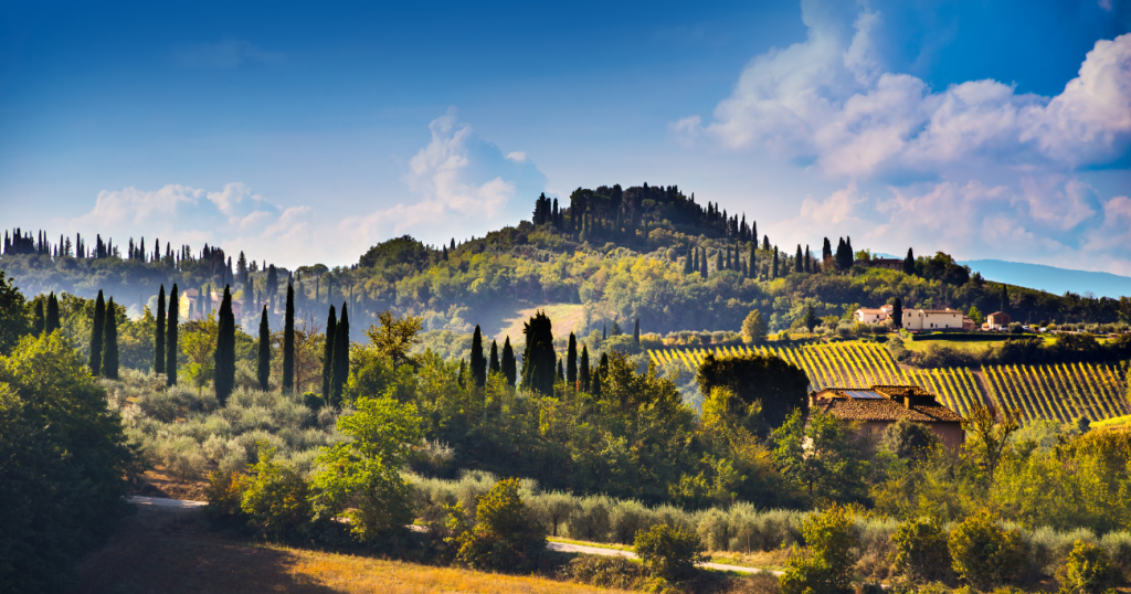 Lush hills with cypress trees in Tuscany